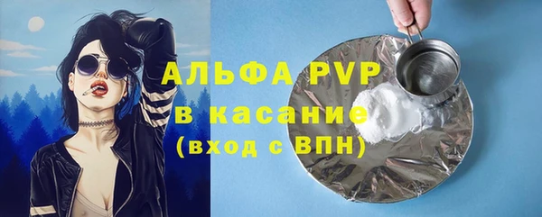 соль ск Новозыбков