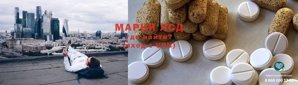 соль ск Новозыбков