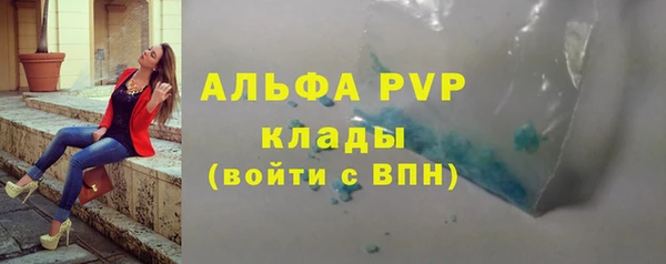 соль ск Новозыбков