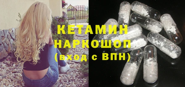 соль ск Новозыбков
