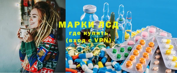 соль ск Новозыбков