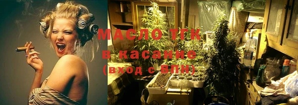 соль ск Новозыбков