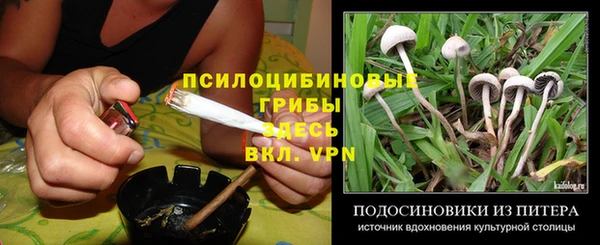 мдпв Новодвинск
