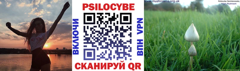 Псилоцибиновые грибы Psilocybine cubensis  что такое   Шебекино 